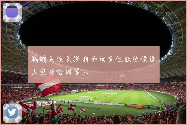 鹈鹕关注莫斯利面试多位教练候选人包括哈姆等人