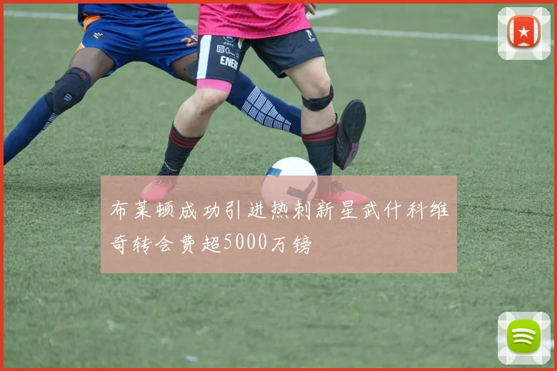 布莱顿成功引进热刺新星武什科维奇转会费超5000万镑