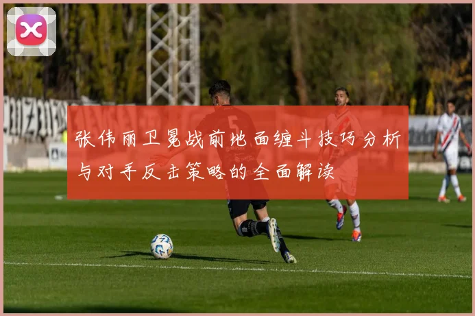 张伟丽卫冕战前地面缠斗技巧分析与对手反击策略的全面解读